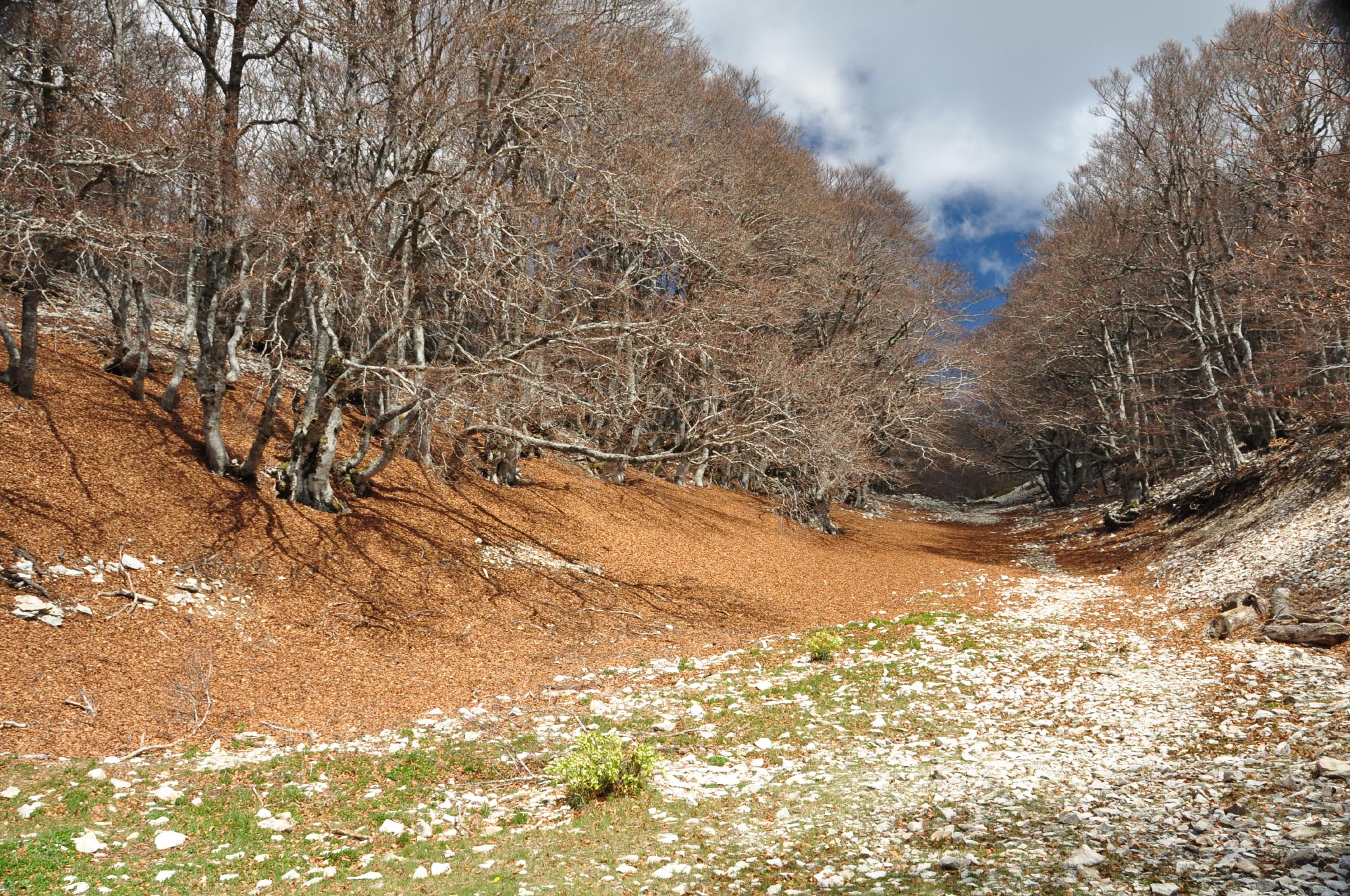 Mont-Ventoux